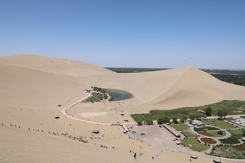Vertical Oasis