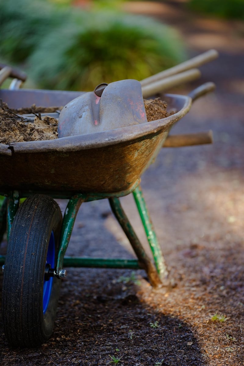 Potting Mix